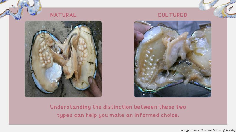 Natural vs. Cultured Pearls